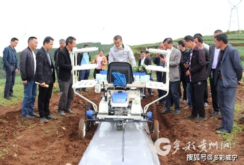 科技賦能農(nóng)業(yè) 威寧高效農(nóng)業(yè)生產(chǎn)技術(shù)軟件開發(fā)的探索與實(shí)踐